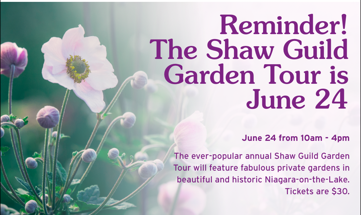 Reminder! The Shaw Guild Garden Tour is June 24. June 24 from 10am - 4pm The ever-popular annual Shaw Guild Garden Tour will feature fabulous private gardens in beautiful and historic Niagara-on-the-Lake. Tickets are $30.
